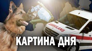 Самовыгул, рейтинг Забайкалья, ТГК-14, медики, ТКО, ZAB.TV, мигранты, реконструкция