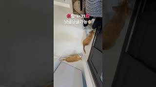 이맛에 퇴근하지