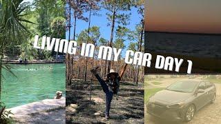 *Living in my car*| five mile hike + taking a dip in the springs(Wekiwa Springs) #solofemaletraveler