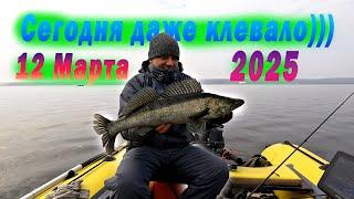 Рыба Просыпается - Рыбалка на спиннинг в Марте 2025