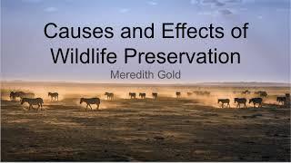 Wildlife Preservation