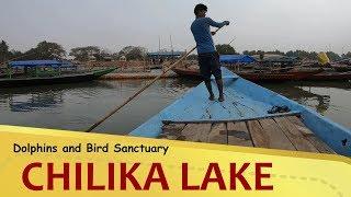 "CHILIKA LAKE" BOAT RIDING : Dolphins and Bird Sanctuary