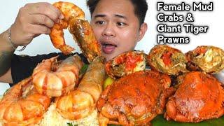 GIANT TIGER PRAWN & FEMALE MUD CRAB W/ SPICY GARLIC BUTTER SAUCE