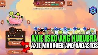 Axie Scholar 100% ng Earnings AXP Naman Kay Manager | Axie Origins Update