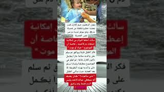 # معلومات بلا حدود