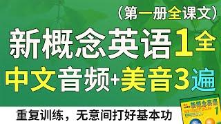 新概念英语1一秒翻读3遍版：中文音频 + 3遍美音、配双语字幕 | 不绕弯路，练就扎实英文功 | 最适合汉语母语者学习的英文教材 | 新概念英语第一册全课文翻译 English Learning