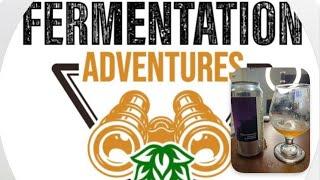 Brewtubers 2024 Fruit Experiment Review #5 - Fermentation Adventures