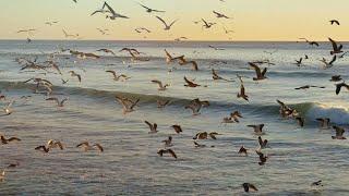 Costa da Caparica , calor fora de época.ultimos dias de verão