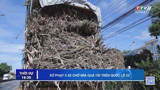 Xử phạt 5 xe chở mía quá tải trên Quốc lộ 22 | TayNinhTV