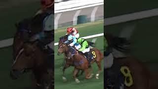 8 SUPER SIXTY   A Badel #ABadel #AlexisBadel #Badel #Racing #Sport #Shorts #賽馬短片