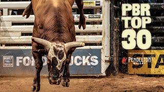 PBR Top 30 Bulls: Top 3