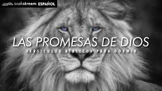 Las Promesas de Dios | Versiculos Biblicos Para Dormir