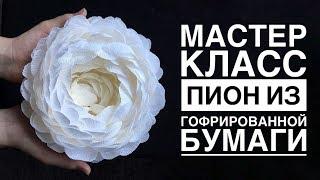 Мастер-класс пион из гофрированной бумаги или как утилизировать обрезки/DIY CREPE PAPER PEONIES