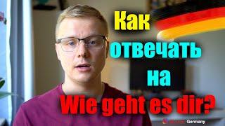 Как отвечать на Wie Geht Es Dir? Немецкий язык