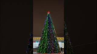 New Year tree, Christmas tree, Podolsk, Russia  / #shorts #russia #travel #christmas #newyear