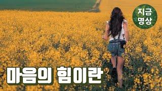 마음의 힘이란 [마음수련 명상 글]