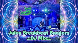 Breakbeat Bangers | DJ Mix Live at Love Burn 2022 by Juicy Junglist