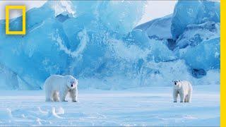 How to Photograph Polar Bears in One of the Most Extreme Places on Earth | Short Film Showcase