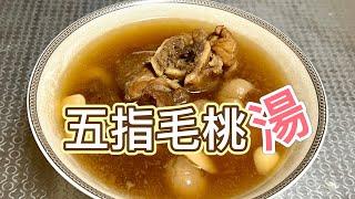 [學神靚湯] 五指毛桃湯·健脾補肺·舒筋活絡 #學神百科 #學神靚湯