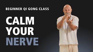 #62 | Beginner Qi Gong Class | How to calm the Nervous system