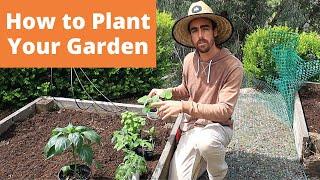 How to Plant Your Garden: Grow Food NOW #2