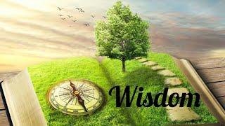 Wisdom - What is it and how to cultivate it effectively?