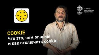 Что такое COOKIE, опасны ли они и как их отключить