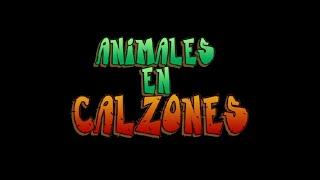 Animales en Calzones - Intro (Español Latino)
