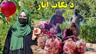 وطني حاصلات د تګاب انار | Pomegranate of Tagab Kapisa Afghanistan