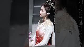 可爱的白鹿宝宝#白鹿 #临江仙