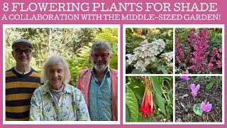 Collaboration: With Alexandra of The Middle-Sized Garden - 8 brilliant flowering plants for shade!