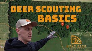 How to Scout a New Hunting Property - Deer Scouting Tips
