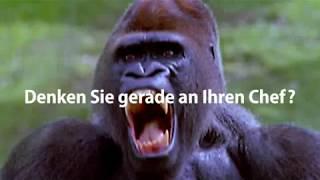 ARAG - Gorilla