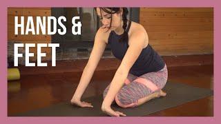 Yin Yoga for Extremities - Feet, Hands & Neck