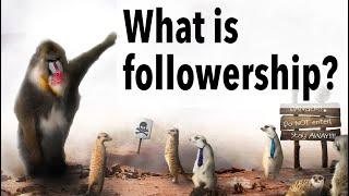 what is followership