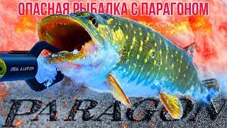 ЛЮТАЯ ВЕСЕННЯЯ ЩУКА! Первый обзор спиннинга Hearty Rise Paragon 802L