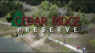 Volunteer at Cedar Ridge Preserve Today!