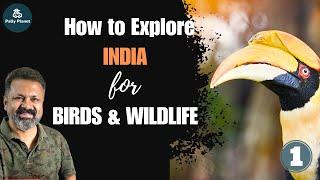 HOW TO EXPLORE INDIA FOR BIRDS & WILDLIFE?