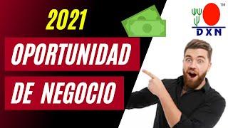  Como HACER el NEGOCIO DXN y Comenzar a GANAR DINERO (Oportunidad de NEGOCIO) 2023