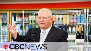 Why Doug Ford's booze sales plan could cost Ontario taxpayers far more than $225M