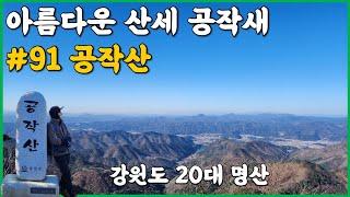 강원도 20대 명산 공작산 등산코스 | 계엄령 스트레스 자연에서 치유 | 산세가 아름다운 공작새 | 겨울산행지 추천