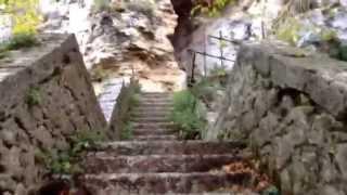 Stairway in the forest