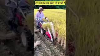 New level rice  harvesting machine Japanese Agricultural Machinery #shorts