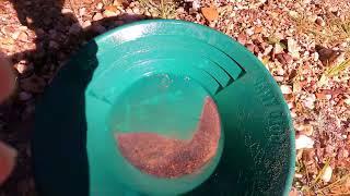 when i was on Good gold in the creek more of my panning technique