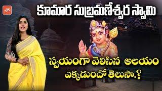 Bikkavolu Golingeswara Swami Temple History | Kumara Subrahmanyeswara Swamy Temple Real Story|YOYOTV