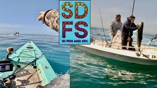 Chasing La Jolla Yellowtail | Solo Skiff Fishing San Diego Spring Calico Bass Barracuda & Sand Bass