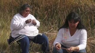 Tying our World Together: Gathering Dogbane