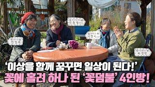 [ SUB ] 꽃의 힘을 나누다 ‘꽃덤불’  Share the Power of Flowers | 정원의 발견 Wonders of Garden | KBS제주20240126 방송