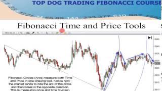 Advanced Fibonacci Trading Strategies by  Barry Burns | Real Traders Webinar