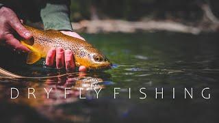 Down By The River | EPIC Dry Fly Fishing